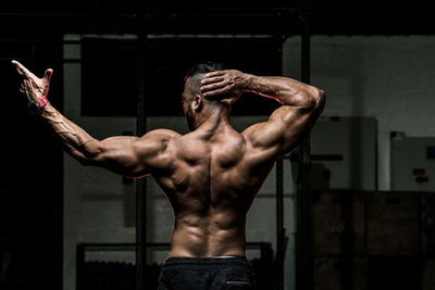 Entrenamiento De Espalda En Casa Para Mejorar Su Postura