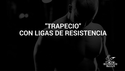 Trapecio Con Ligas de Resistencia Bold Tribe