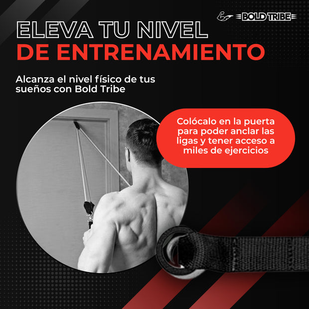 ligas de resistencia crossfit, ligas de resistencia pull ups, comprar ligas de resistencia, venta de ligas de resistencia,  donde comprar ligas de resistencia, comprar bandas de resistencia para crossfit, ligas de resistencia donde comprar, donde puedo comprar ligas de resistencia, mejores ligas de resistencia para crossfit, donde comprar ligas para ejercicio, bandas de resistencia crossfit, bandas de resistencia donde comprar, dominadas pull ups muscle ups Bold Tribe