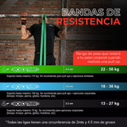 Barra Dominadas Multifuncional Calistenia Pull Ups Gym 300Kg