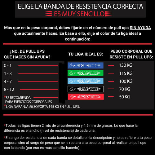 2 Ligas Bandas Resistencia Crossfit Pull Ups Azul #5 Con Mini Bandas